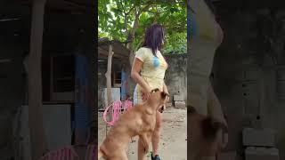 Cewek  ini  hampir diperkosa anjing