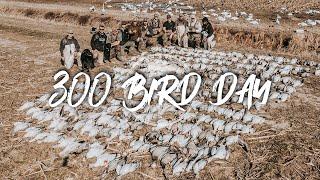 Snow Goose Hunting- GIANT RAINOUTS 300 bird day