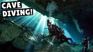 CENOTE DIVING IN MEXICO Coolest Thing Weve Ever Done