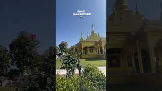 Golden Pagoda Namsai  #shorts #ytshorts #shortvideo #arunachalpradesh