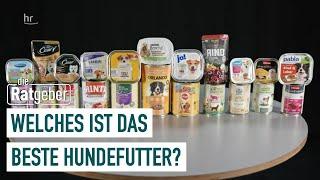 Dog food in the goods test Which wet food is recommended?  The Counselors