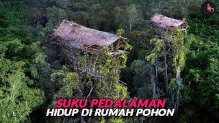 Korowai Suku Yang Tinggal di Atas Pohon Hutan Belantara Papua