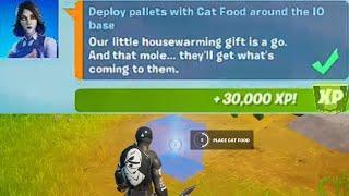 Deploy Pallets with Cat Food Around the IO Base - Fortnite