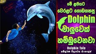 වලිගය කපන්න වුන නිසා ජීවිතයත් අනතුරේ ඩොල්ෆින් ටේල් Review  Dolphin Tale Movie