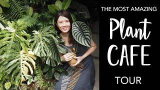 Plant Cafe Tour  Coffee + Tropical Garden filled with Rare & Variegated Plants