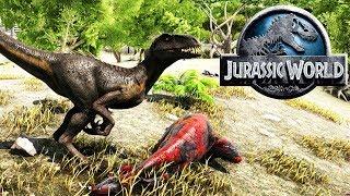 HUNTING ENCLOSURE OF THE SUPERHIBRATED DINORAHOR JURASSIC WORLD 2 Ark