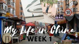 Study Abroad in CHINA - Week 1