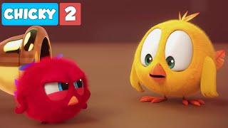 Wheres Chicky? Funny Chicky 2021  POYO IS MAD  Chicky Cartoon in English for Kids