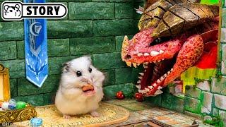 ️ Hamster vs Dragon in the Dungeons & Dragons Maze ️ Homura Ham