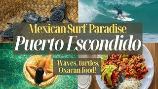 Puerto Escondido Oaxaca - Visiting Best Surf Town in Mexico to Surf and Release Baby Turtles