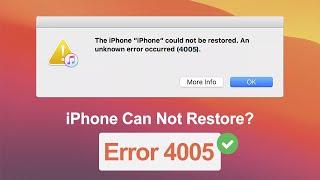 iPhone Can Not Restore? How to Fix iPhone Error 4005 Without Losing Data   iToolab FixGo