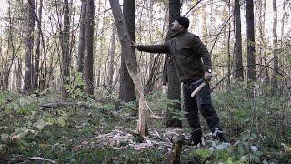 Рубка дерева ножом  Метод бобра  Высечение искры