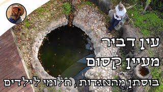 עין דביר - מעיין קסום ולא כל כך מוכר. מים צלולים כל השנה מדהים לילדים בוסתן פירות . #טבע  #טיול