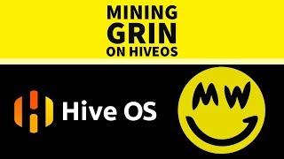 Mining Grin on HiveOS