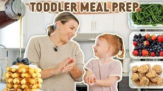 TODDLER MEAL PREP  Picky Eater Kids Meal Ideas They Will LOVE