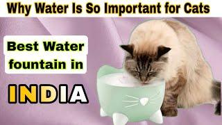 5 Tips To Help Your Cat Drink Water PIXI Cat Drinking Fountain Review