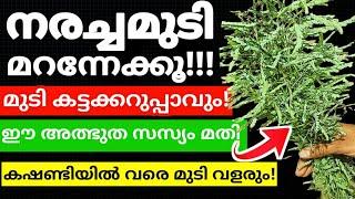 Natural Hair Dyeമുടി നല്ല കട്ടക്കറുപ്പാവാനും കാടുപോലെ വളരാനും ഇത് മതി#trending#hairdye