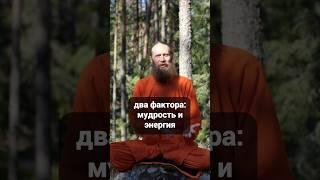 Как копить мудрость и энергию для прогресса?