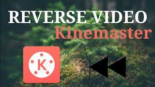 How To Reverse Video In Kinemaster