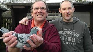 Video 350 Mark Bulled of Harlow Premier Pigeon Racer