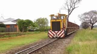Sugar Cane Train - Queensland Australia