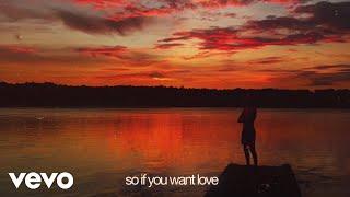 elijah woods - if you want love official lyric video