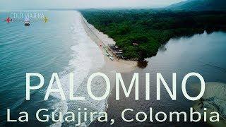 Palomino La Guajira Colombia y su magia.- Video #2