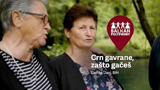 Crn gavrane zašto gačeš – Gorica Janj BiH