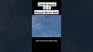 CAPLIN MERPATI BERANI MATI‼️NEW AYLA BMC BLIGO PEKALONGAN