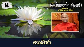 14 සංඛාර  සෝතාපන්න ඵලයට පත්වීමට නම්