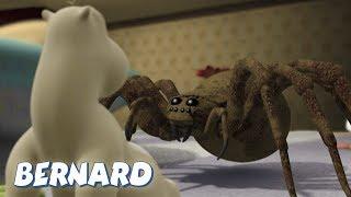 Bernard Bear  The Moth AND MORE  30 min Compilation  Cartoons for Children