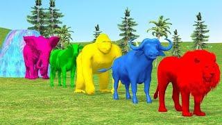 Cow Mammoth Elephant Dinosaur Gorilla Buffalo guess the right color of the animals cage game