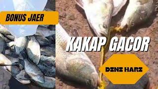 KAKAPNYA GACORRR...‼️DINI HARI...‼️#mancing #mancingkakap #mancingliar #mancingmania #fishing