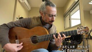 Taranta a la Tania Flamenco Guitar por Taylan Polat “el flamenturco”