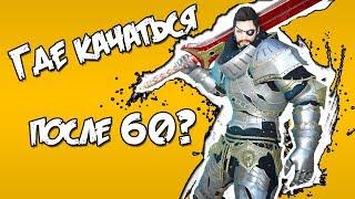 Black Desert – Где качаться после 60-го?  Гайды Black Desert