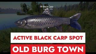 RUSSIAN FISHING 4 - OLD BURG TOWN - ACTIVE BLACK CARP SPOT