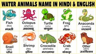 Water animals name hindi and english  जलचर प्राणी के नाम हिंदी  Sea animals for kids