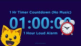 1 Hour Timer Countdown No Music + 1 Hour Loud Alarm