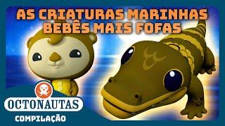 Octonautas -  As Criaturas Marinhas Bebês Mais Fofas   Compilação  Episódios inteiros