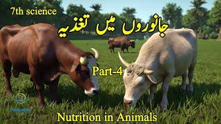 Chapter 2 Nutrition in Animalجانوروں میں تغذیہ 7th science Part-4  #funmaticsurdu