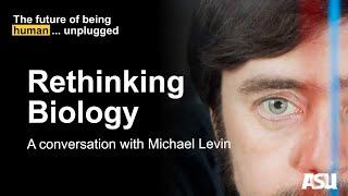 Rethinking Biology A Conversation With Michael Levin