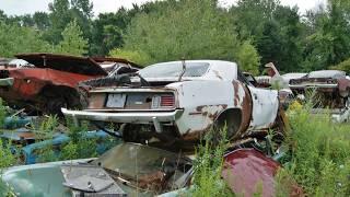 Incredible Collection of Mopars sitting in Junkyard