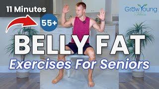 Burn Your Belly Fat - Full Body Seated Chair Exercise Moves For Seniors