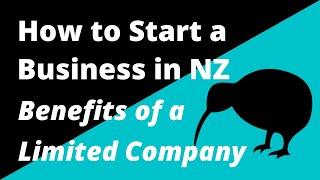 Benefits of a Limited Liability Company.  How to Start a Business in New Zealand.