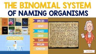 Binomial System of Naming Organisms  Biology Animation