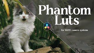 The BEST Luts I’ve Ever Used  Phantom Luts Review & Sample Footage