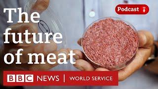Lab-grown meat Why are countries banning it? - The Global Story podcast BBC World Service