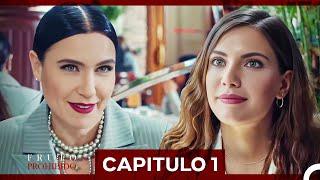 Fruto Prohibido Capitulo 1 Doblado en Español