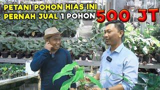 PETANI TANAMAN HIAS INI PERNAH JUAL 1 TANAMAN HARGA Rp. 500JT