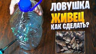 КАК ПОЙМАТЬ ЖИВЦА. ЛОВУШКА ДЛЯ ЖИВЦА ИЗ БУТЫЛКИ